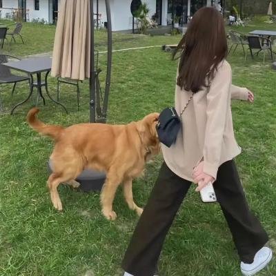 悍女